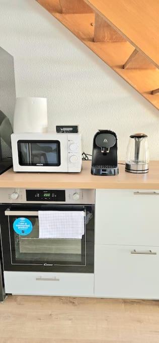 T3 Duplex Thonon Centre - Parking - Gare - Thermes المظهر الخارجي الصورة