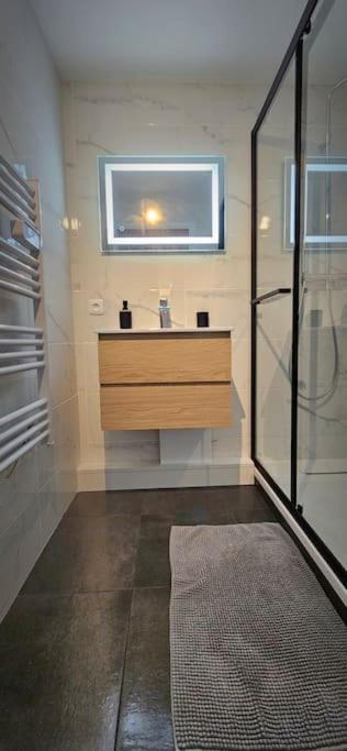 T3 Duplex Thonon Centre - Parking - Gare - Thermes المظهر الخارجي الصورة